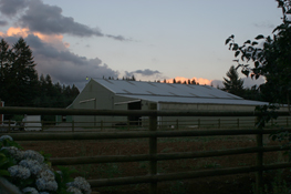 Circle T Training Horse Barn