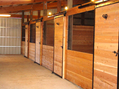 12x12 Stalls