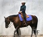 Riding Lessons by Circle T Training